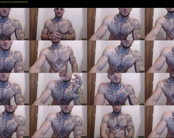 thebestmuscles
