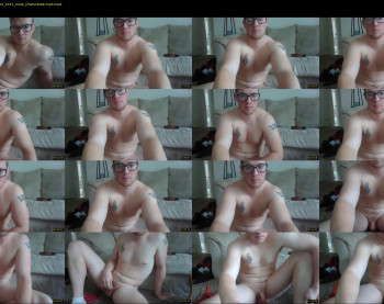 domalphacock1