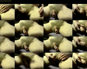 gemini_2