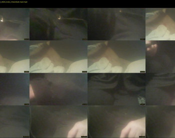 hornysteven88