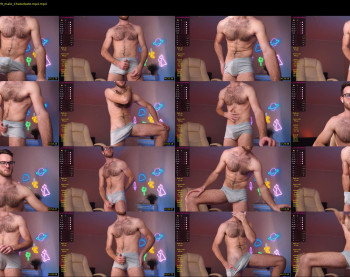 hot_bear_