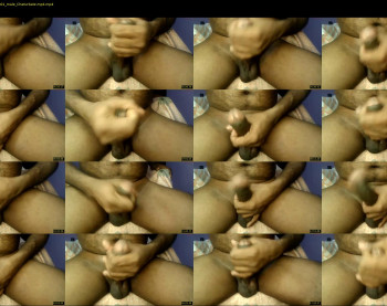 lincevv143