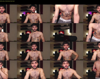 teddy_mode