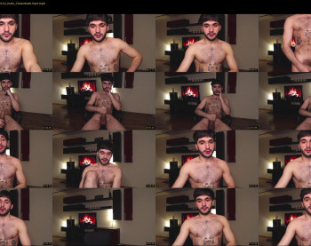 teddy_mode