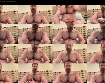 bearjocknwdc