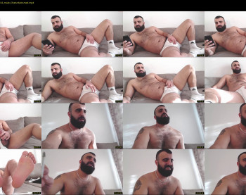 djefri_bear