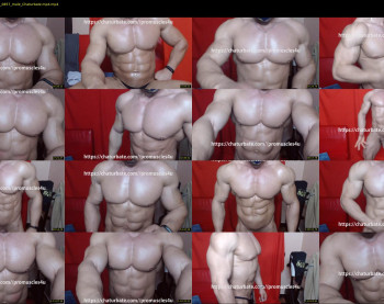 promuscles4u