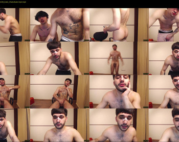 teddy_mode