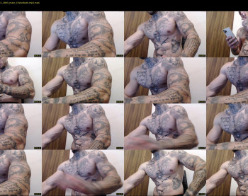 thebestmuscles