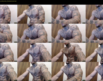 thebestmuscles