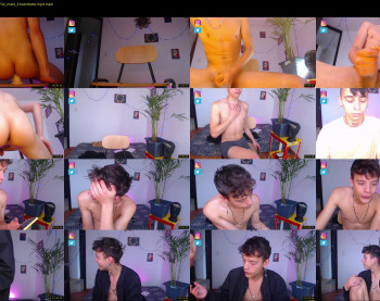 andy_wolfx