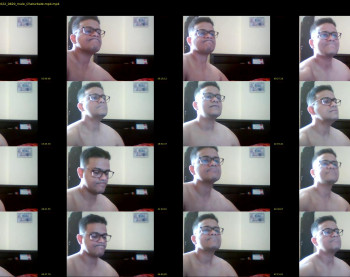 anacondalive