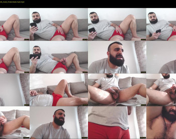 djefri_bear