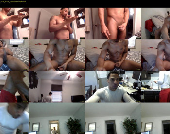 sharkdickwilly