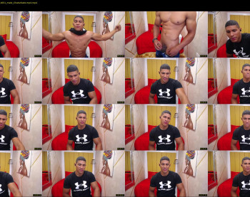 teddyfit19cm
