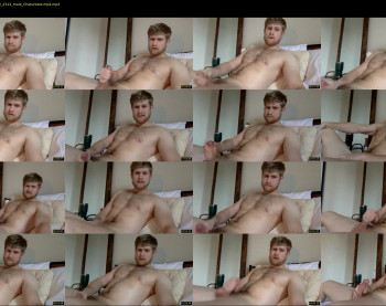 thehairyprince