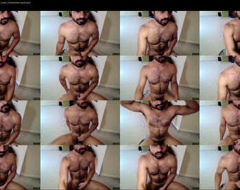 toyboyq