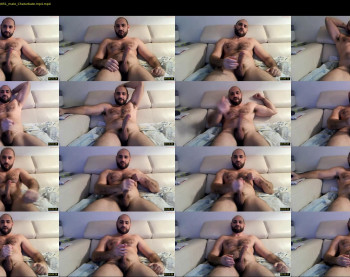 wolfdudefun