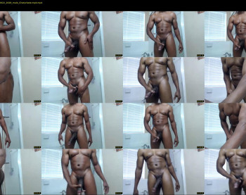 kissthetipofmydick