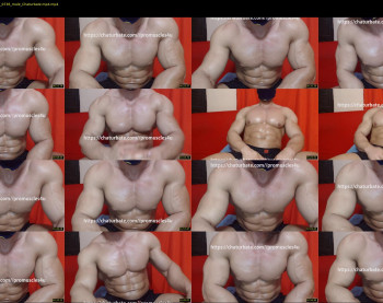 promuscles4u