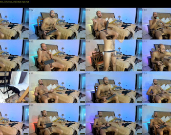 swedishvikingstud