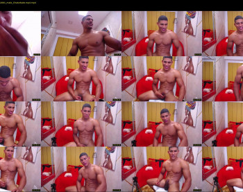 teddyfit19cm