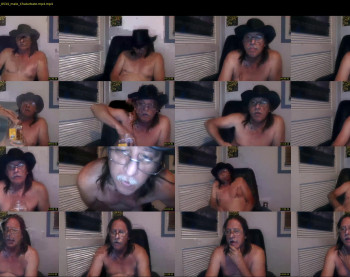 tomaselgato1