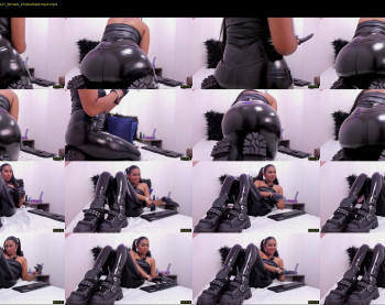 alissa_shell