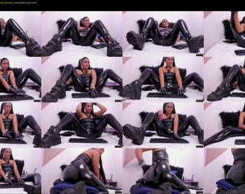 alissa_shell