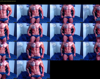 andrew_holden