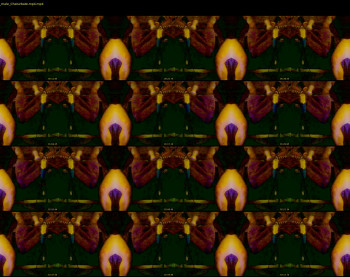 aural69