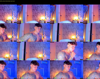 austin_grey2