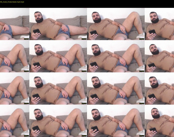 djefri_bear