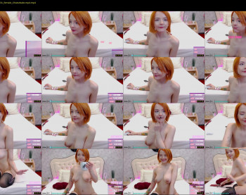 ginger_pie