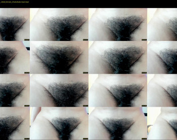 girasol_walton