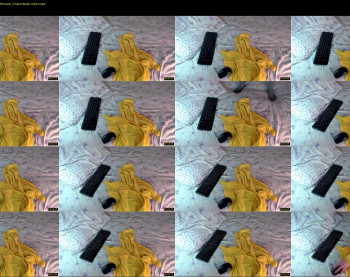 q_t_pie