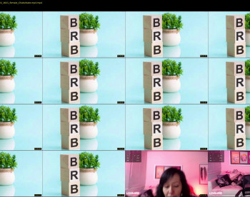 stella_mcqueen