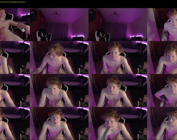 alvin__main