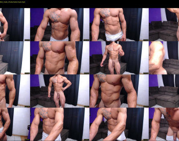 bestmuscle