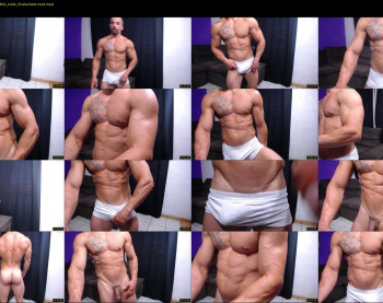 bestmuscle