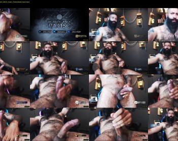 boris_the_animal