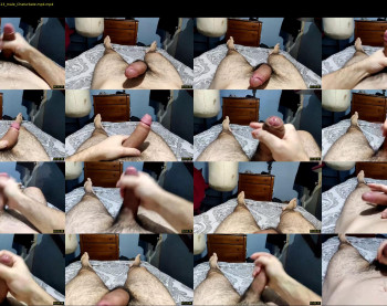 dodonut69