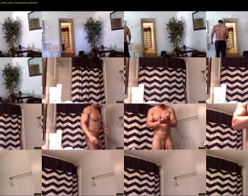 sharkdickwilly