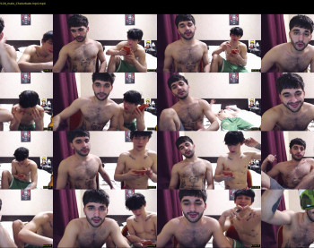 teddy_mode