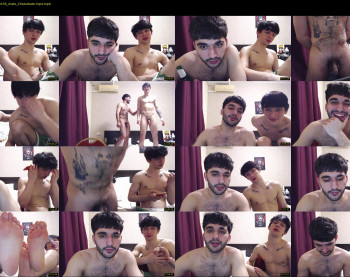 teddy_mode