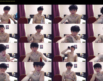 teddy_mode