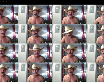 the_sexcowboy