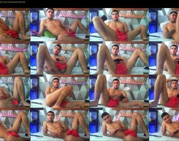 thiago_wolf