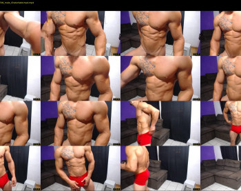 bestmuscle