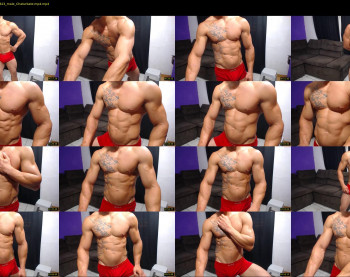 bestmuscle